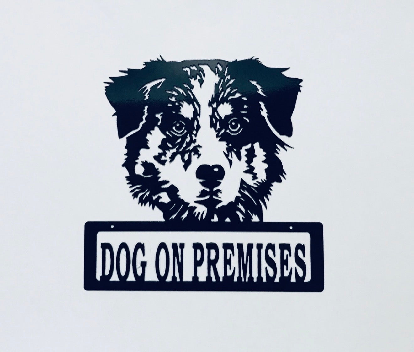 DOP Australian Shepherd
