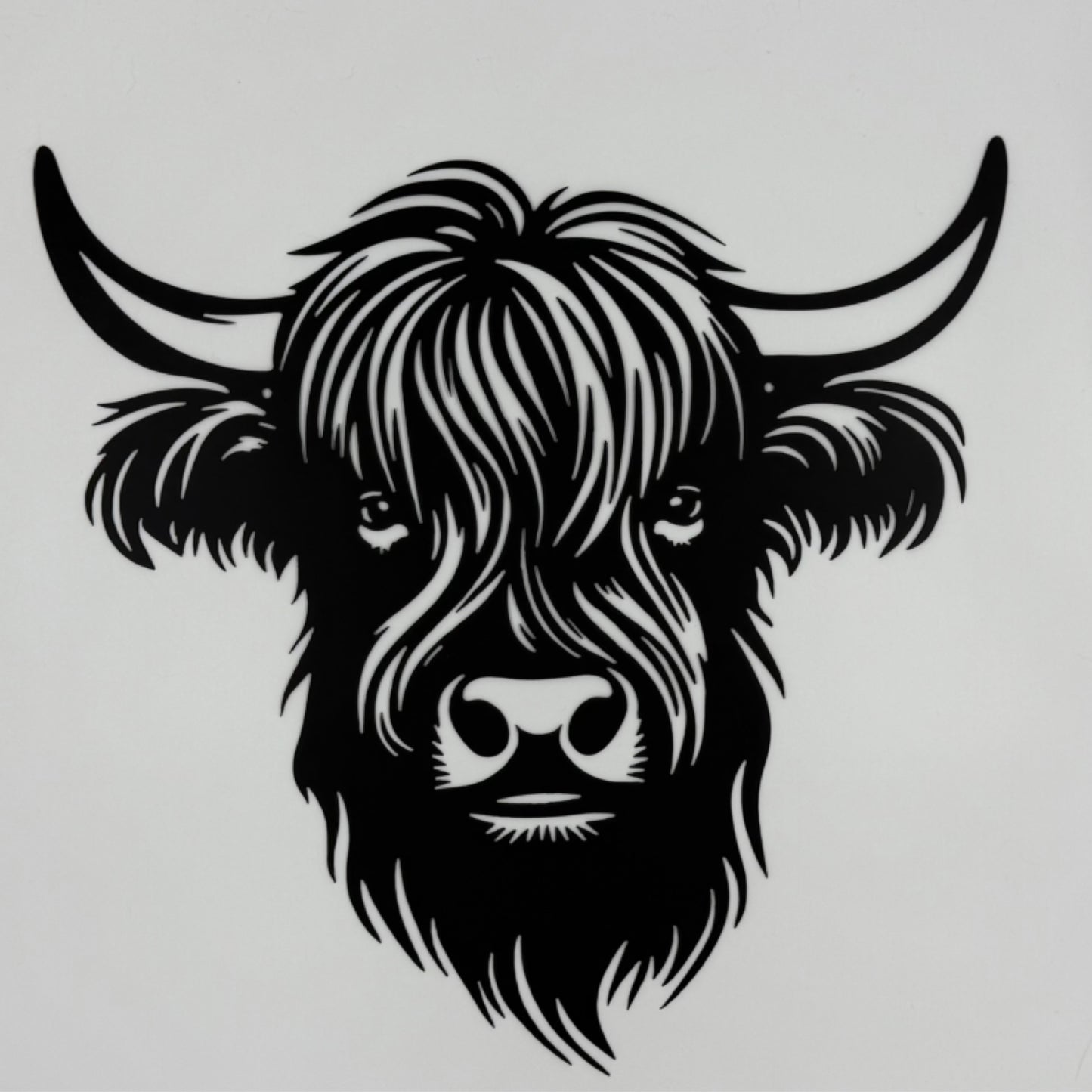 Highland Cow Face