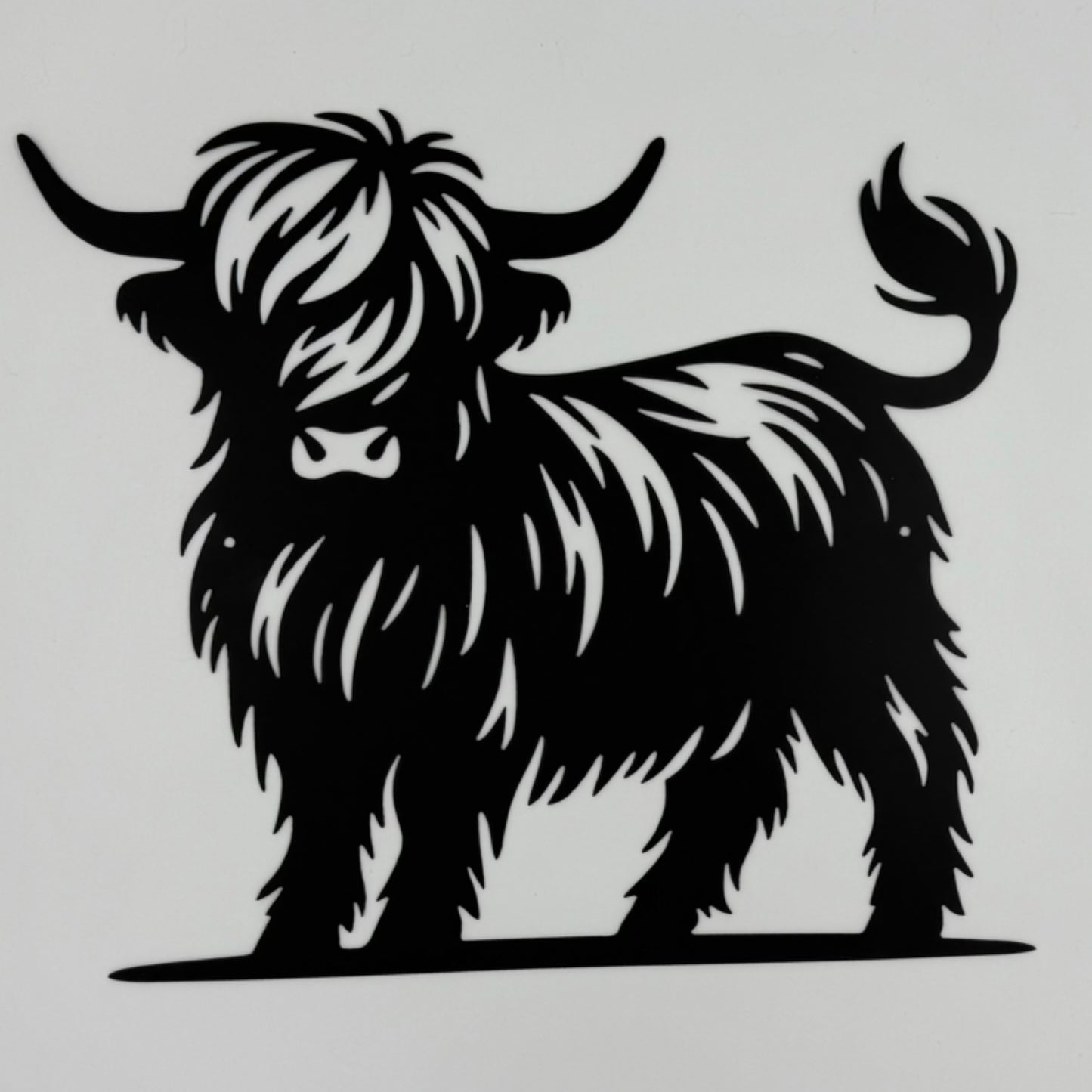 Highland Cow Standing
