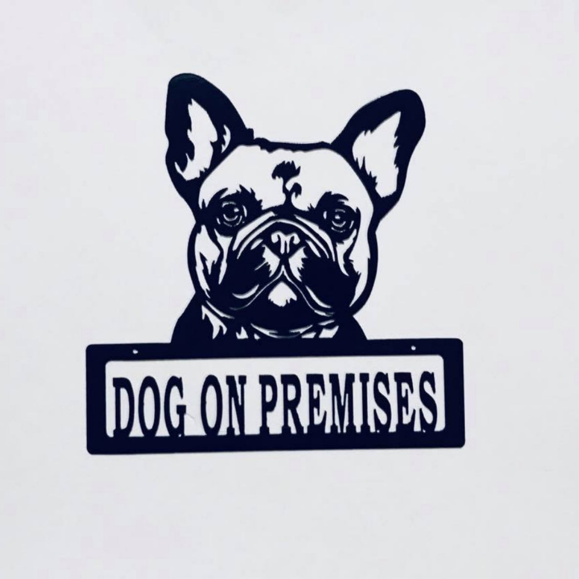 DOP Frenchie