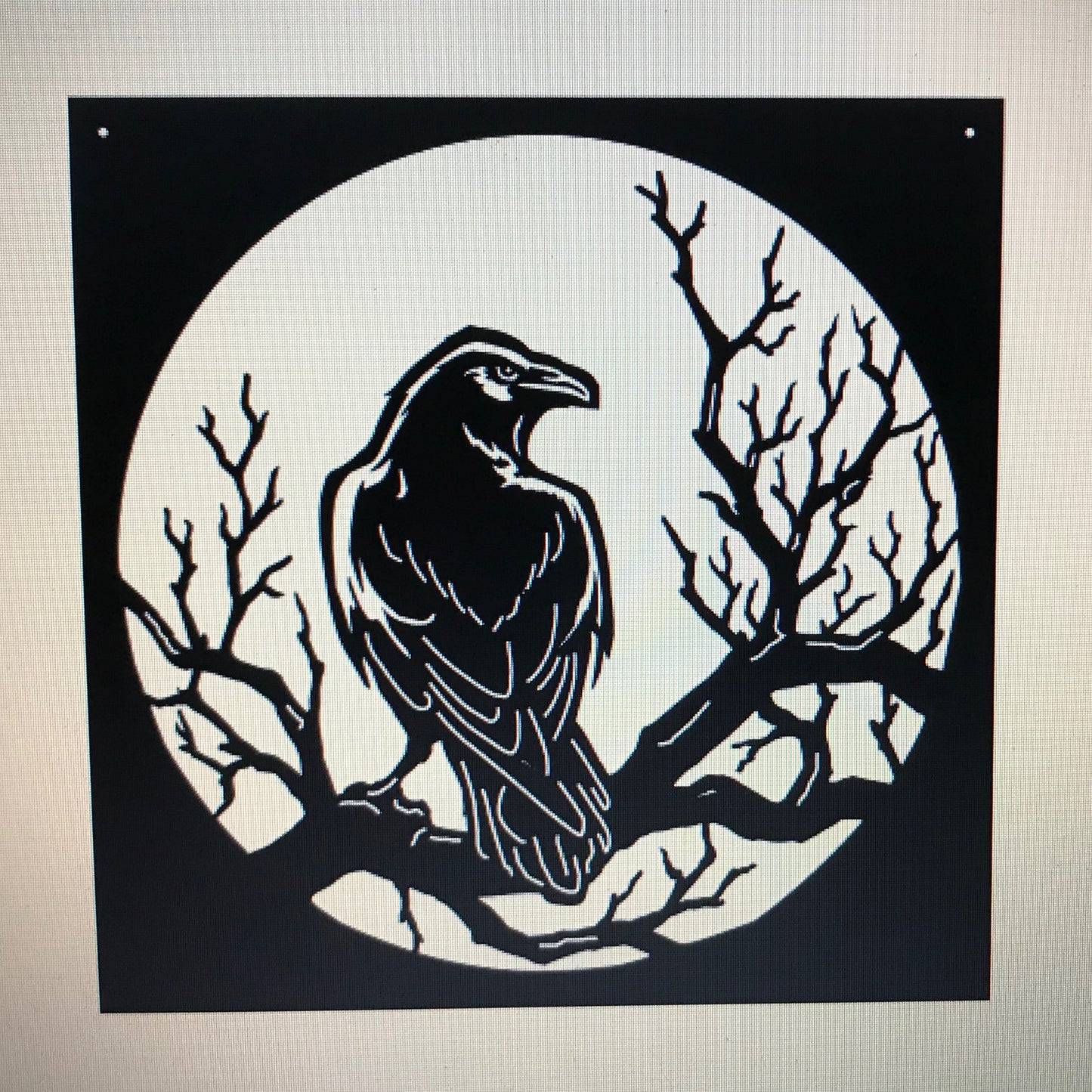 Crow - Raven