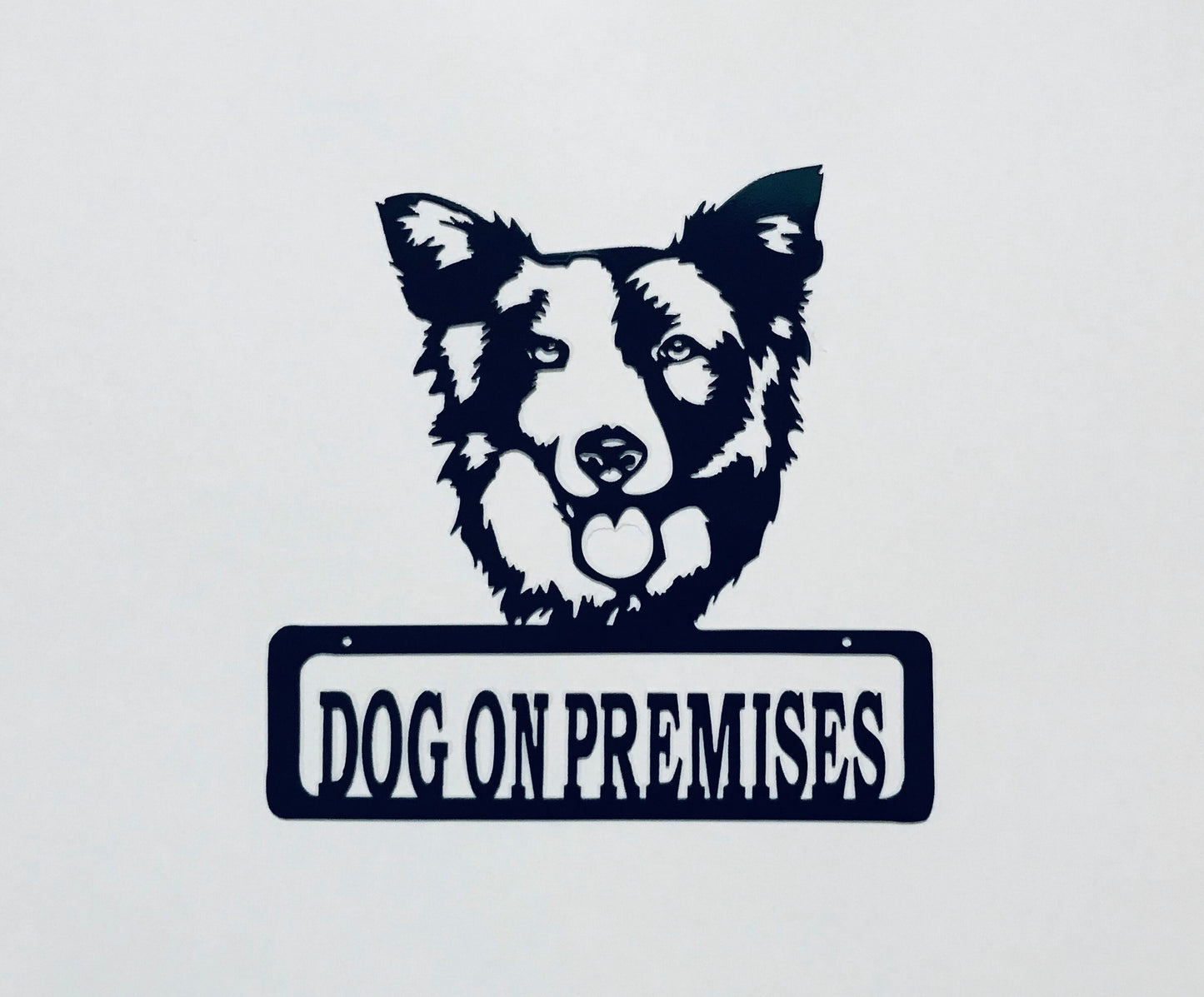 DOP Border Collie