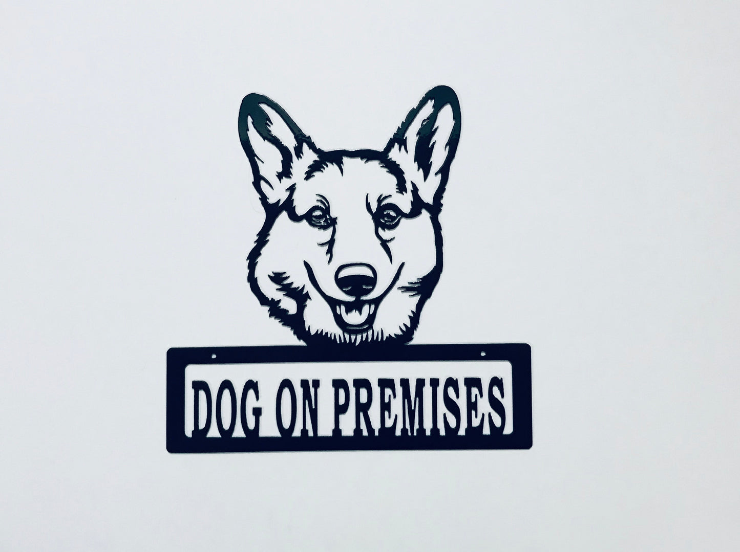 DOP Corgi