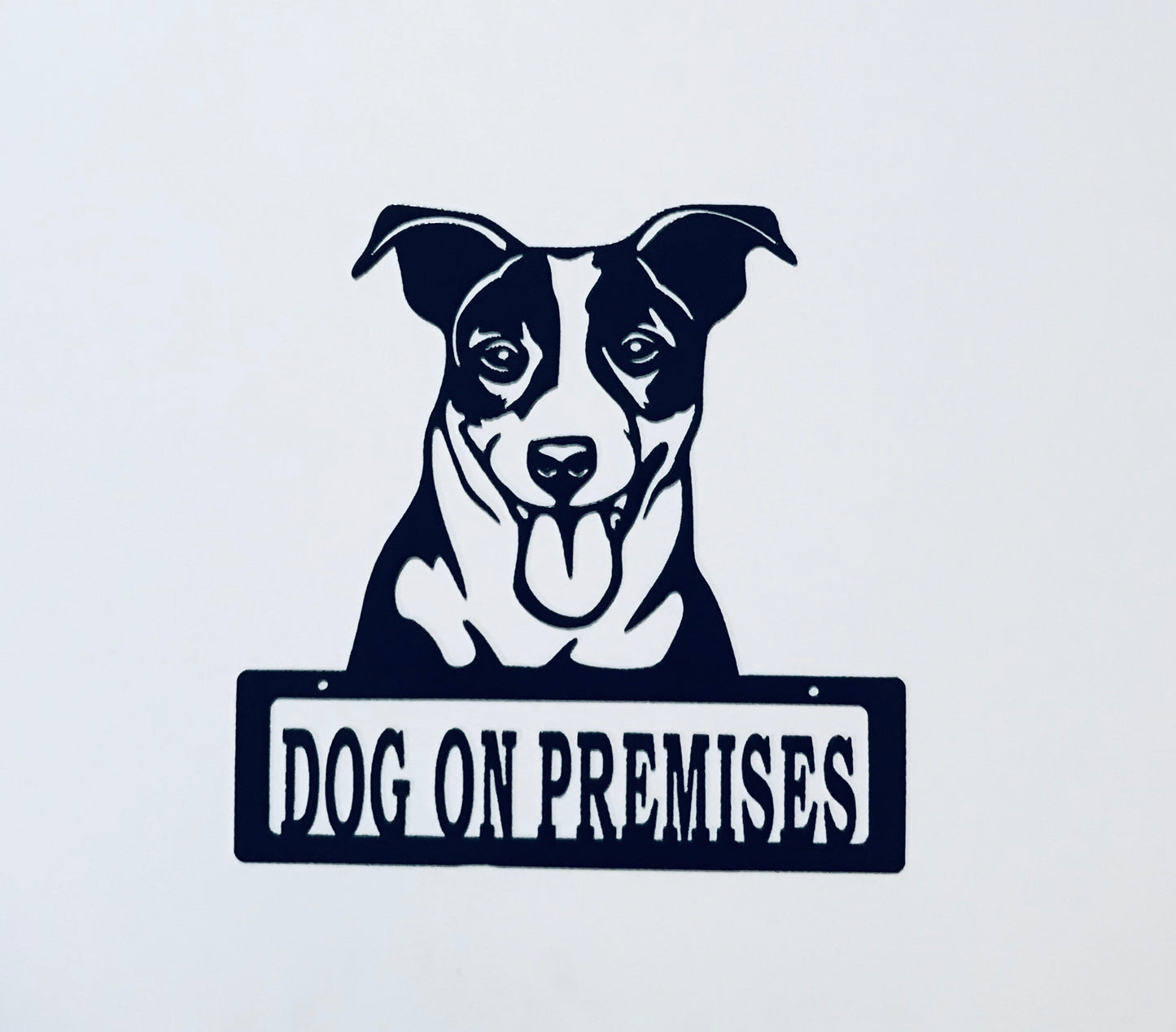 DOP Jack Russell