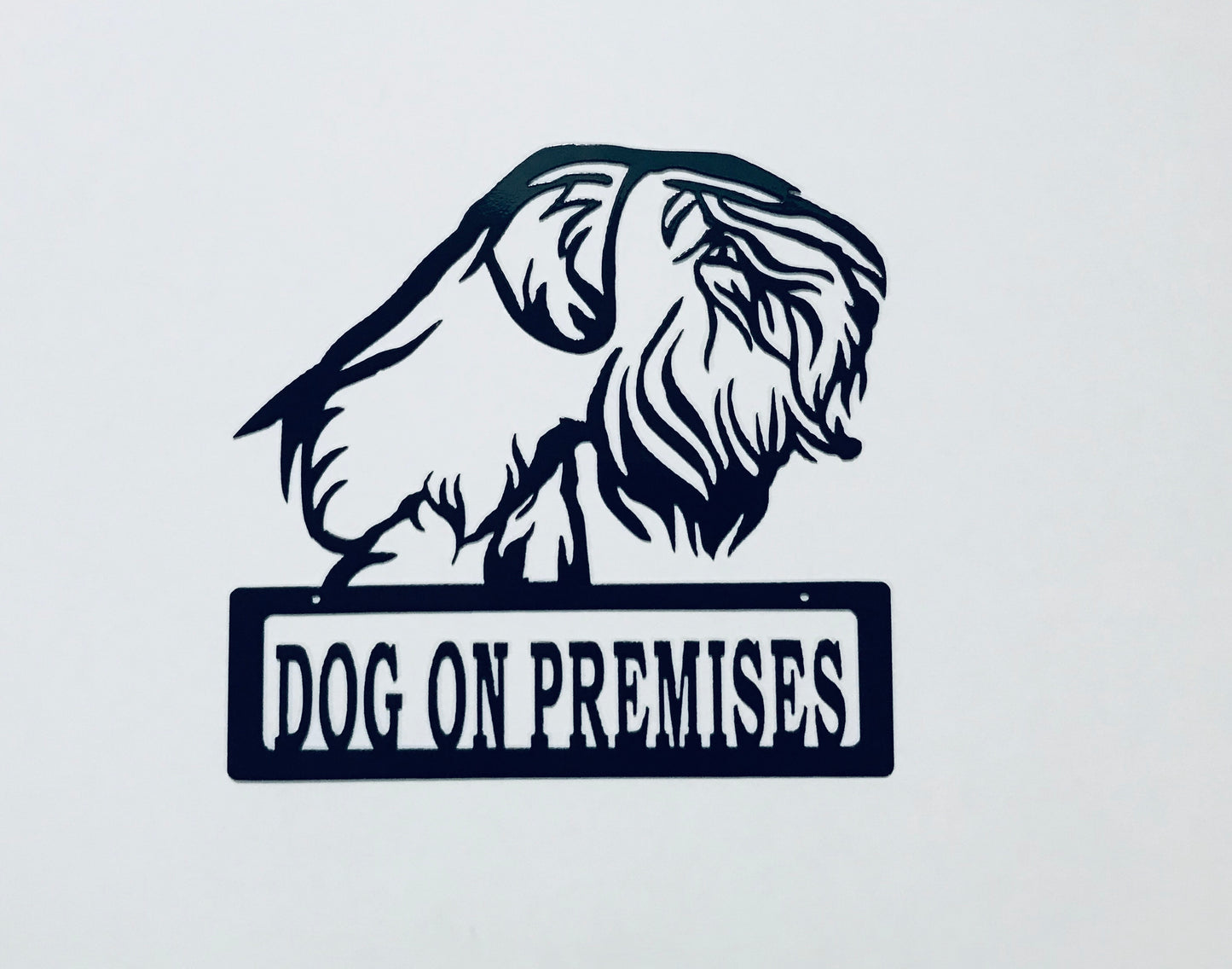 DOP Sealeyham Terrier