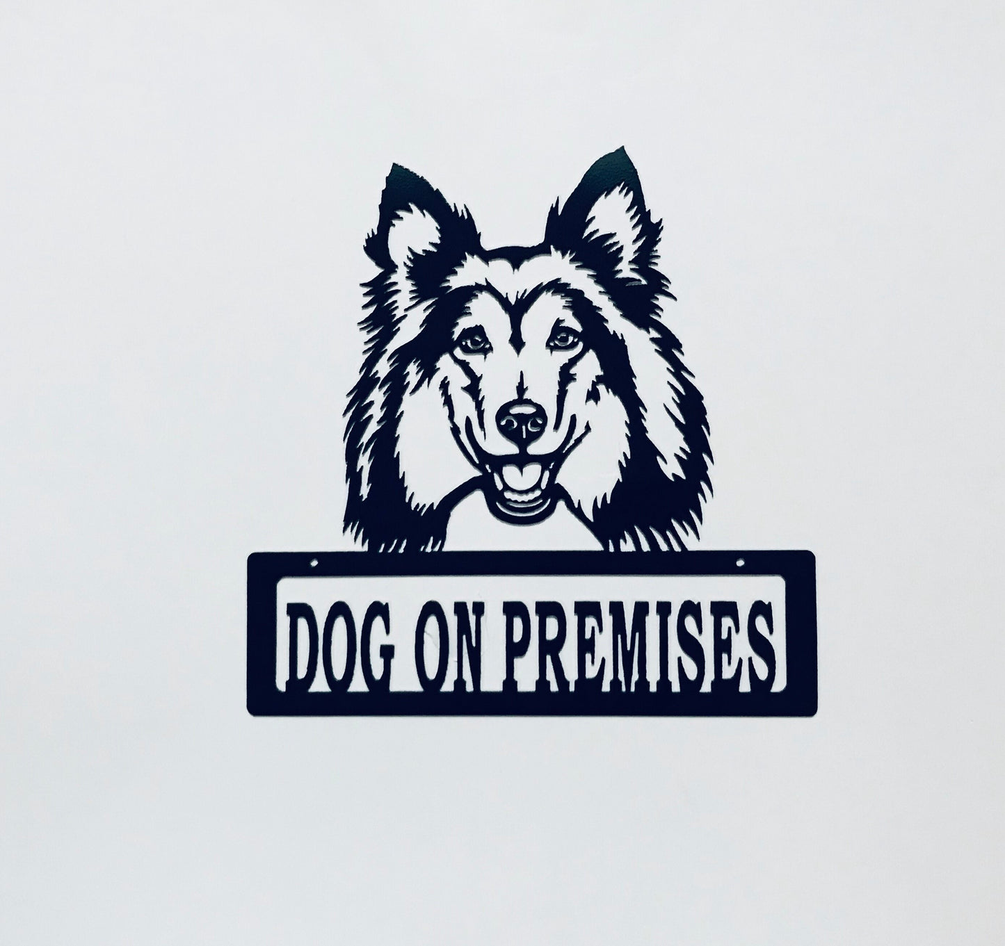 DOP Sheltie