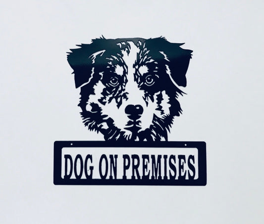 DOP Australian Shepherd