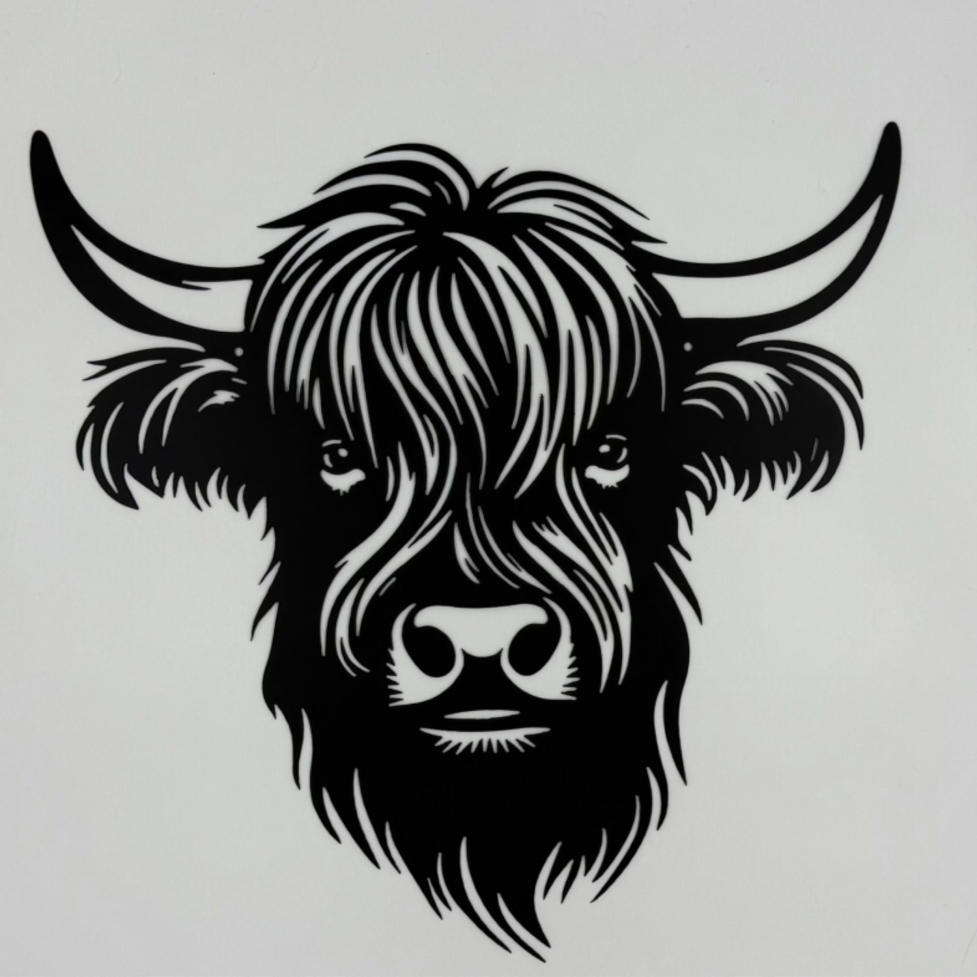 Highland Cow Face