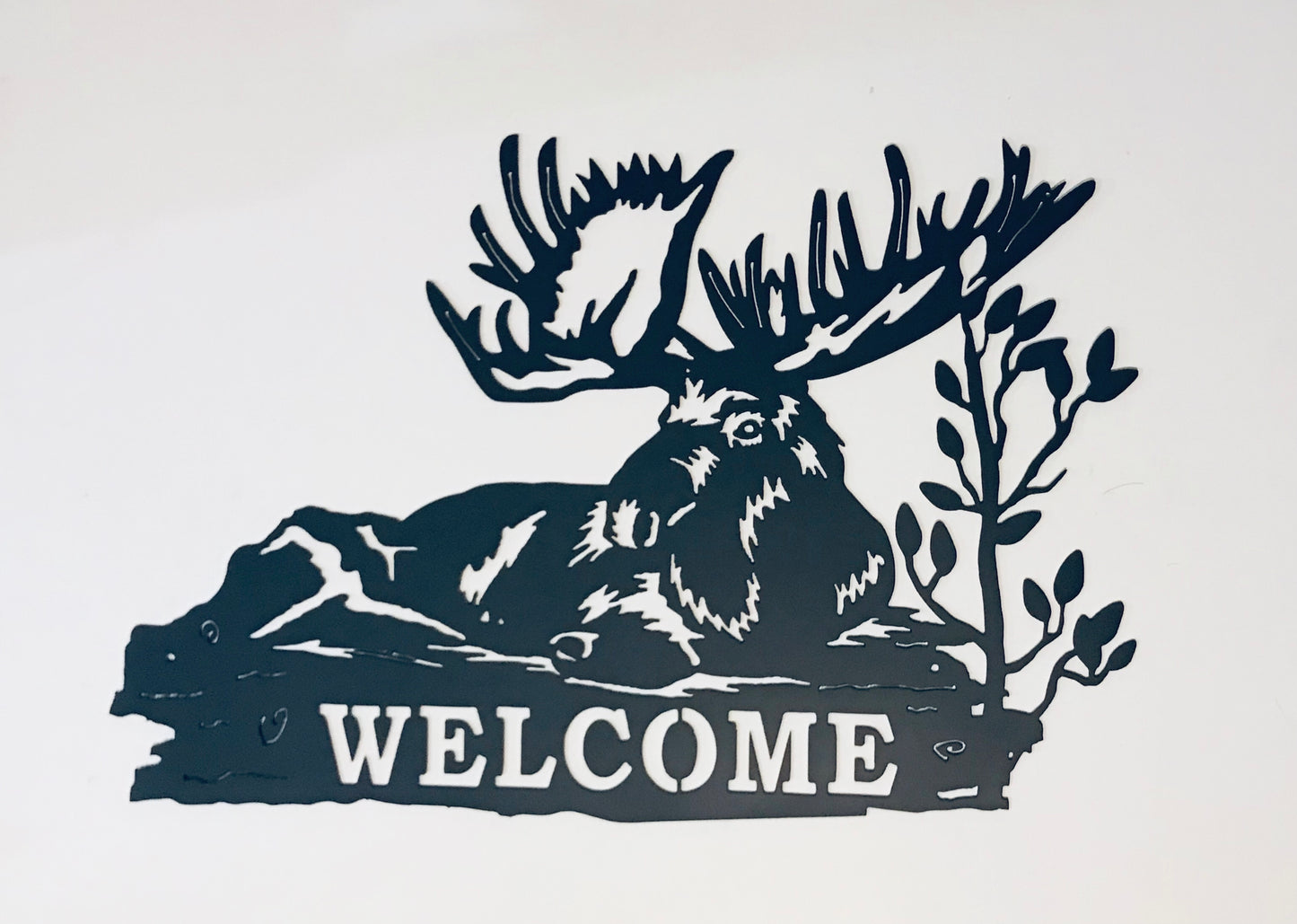 Moose Welcome