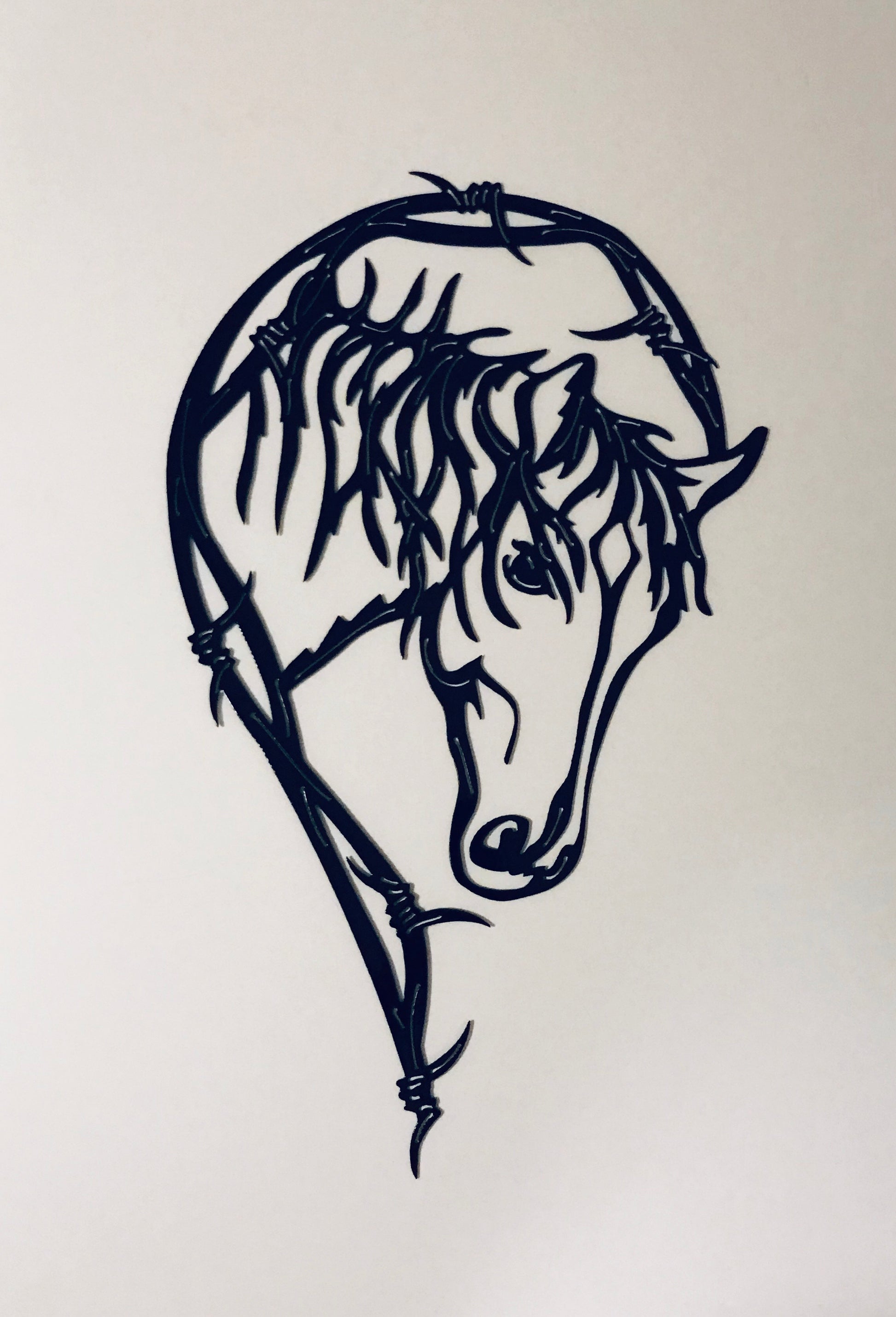 Horse Barbed Wire