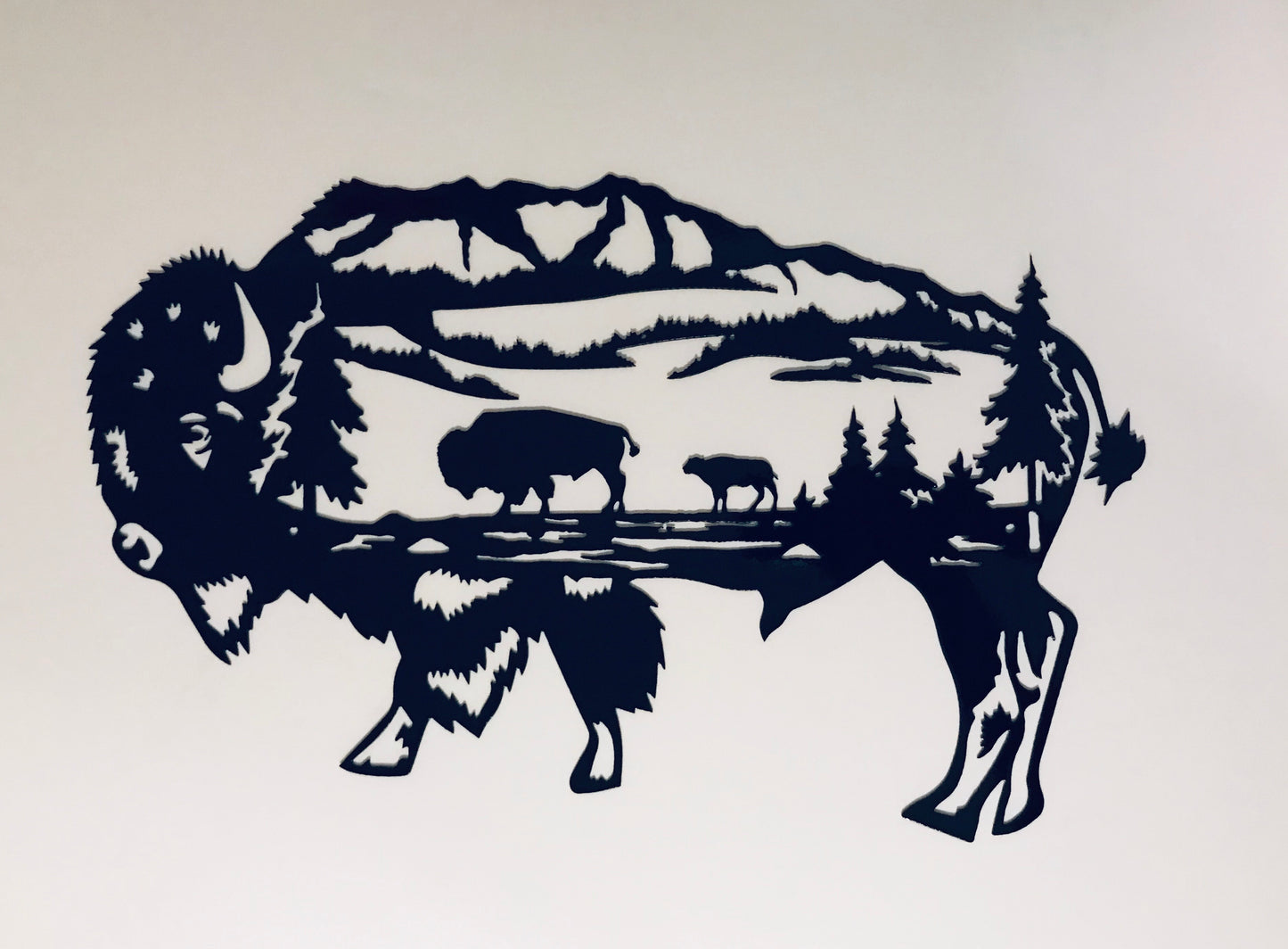 Buffalo Scene