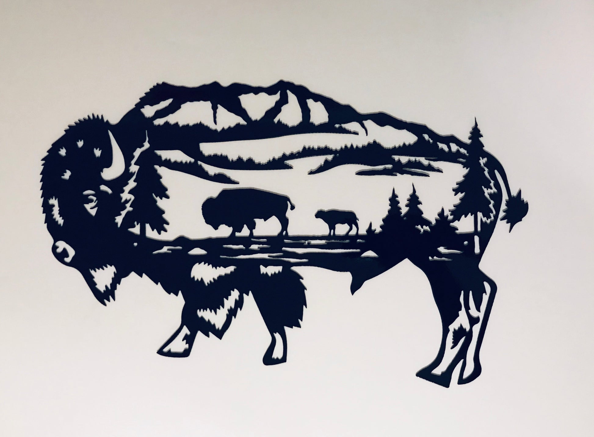 Buffalo Scene