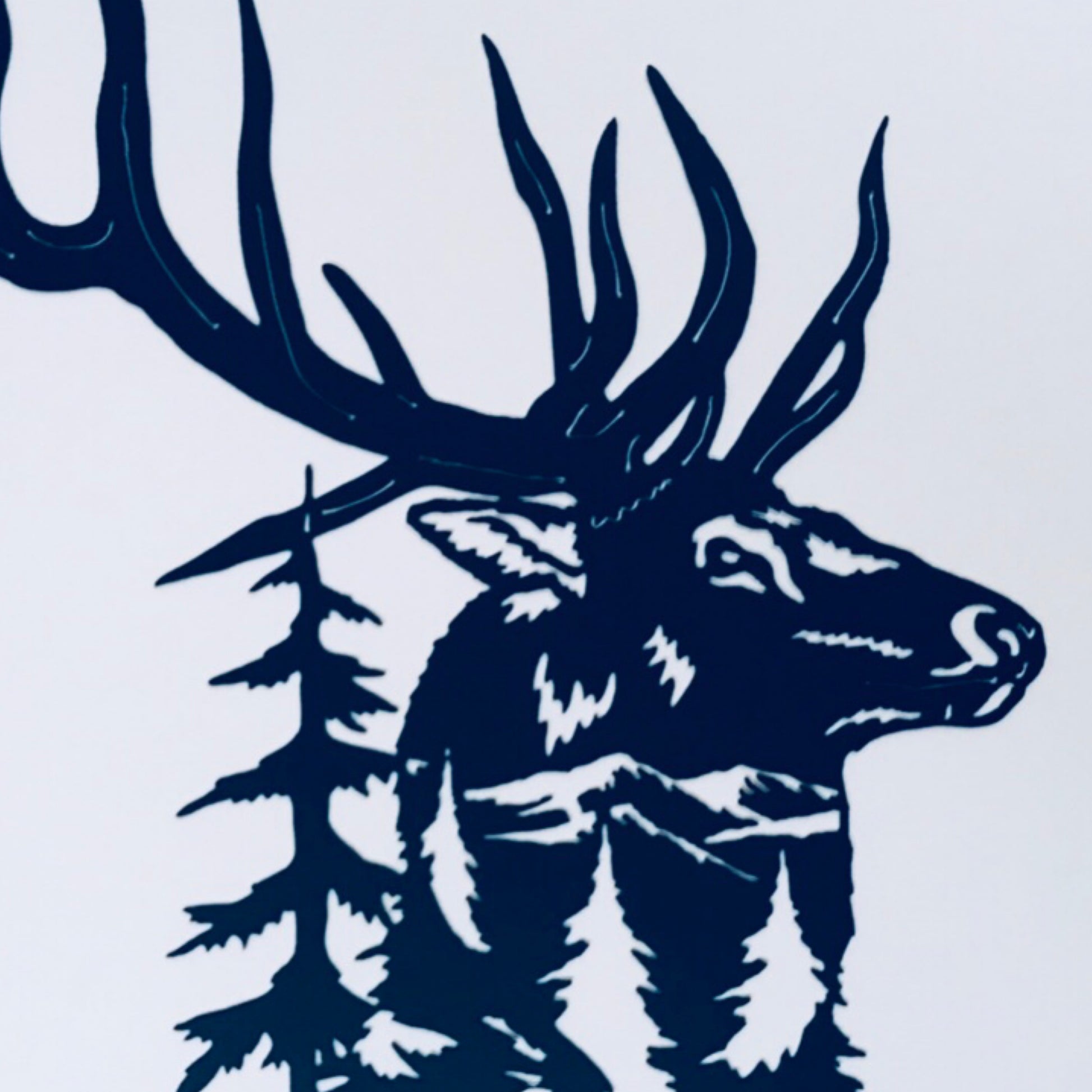 Elk scene