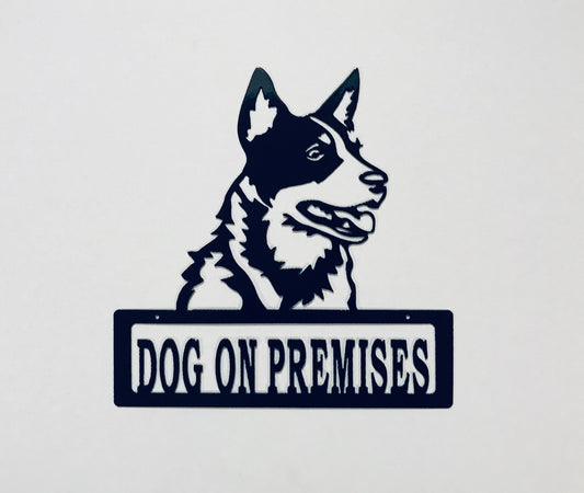 DOP Blue Heeler