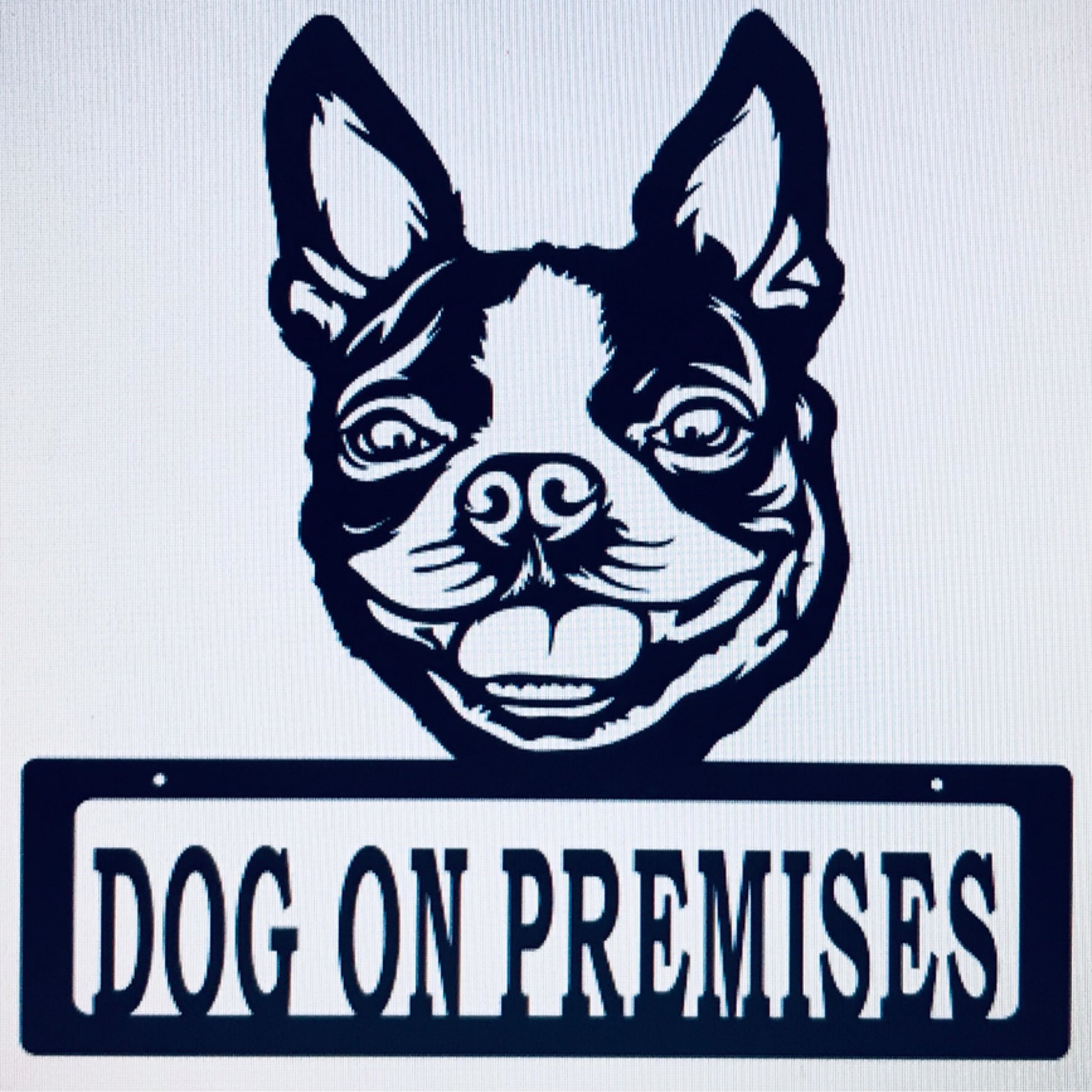 DOP Boston Terrier