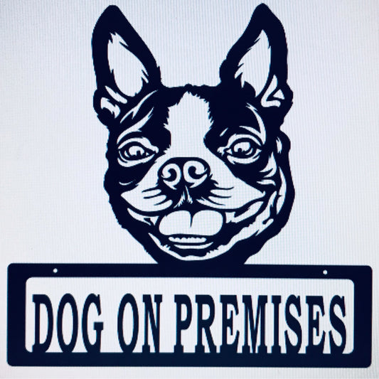 DOP Boston Terrier