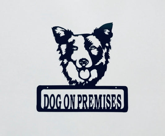 DOP Border Collie