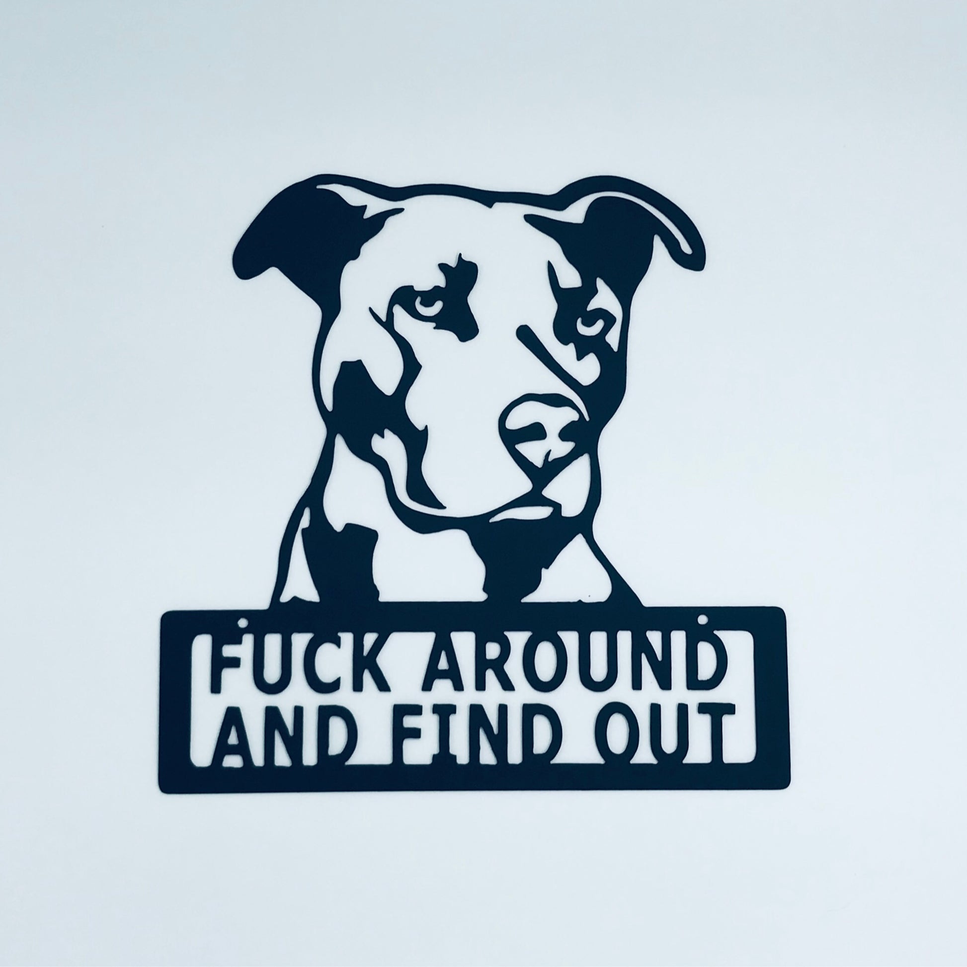 Pitbull, Fuck Around and Find Out