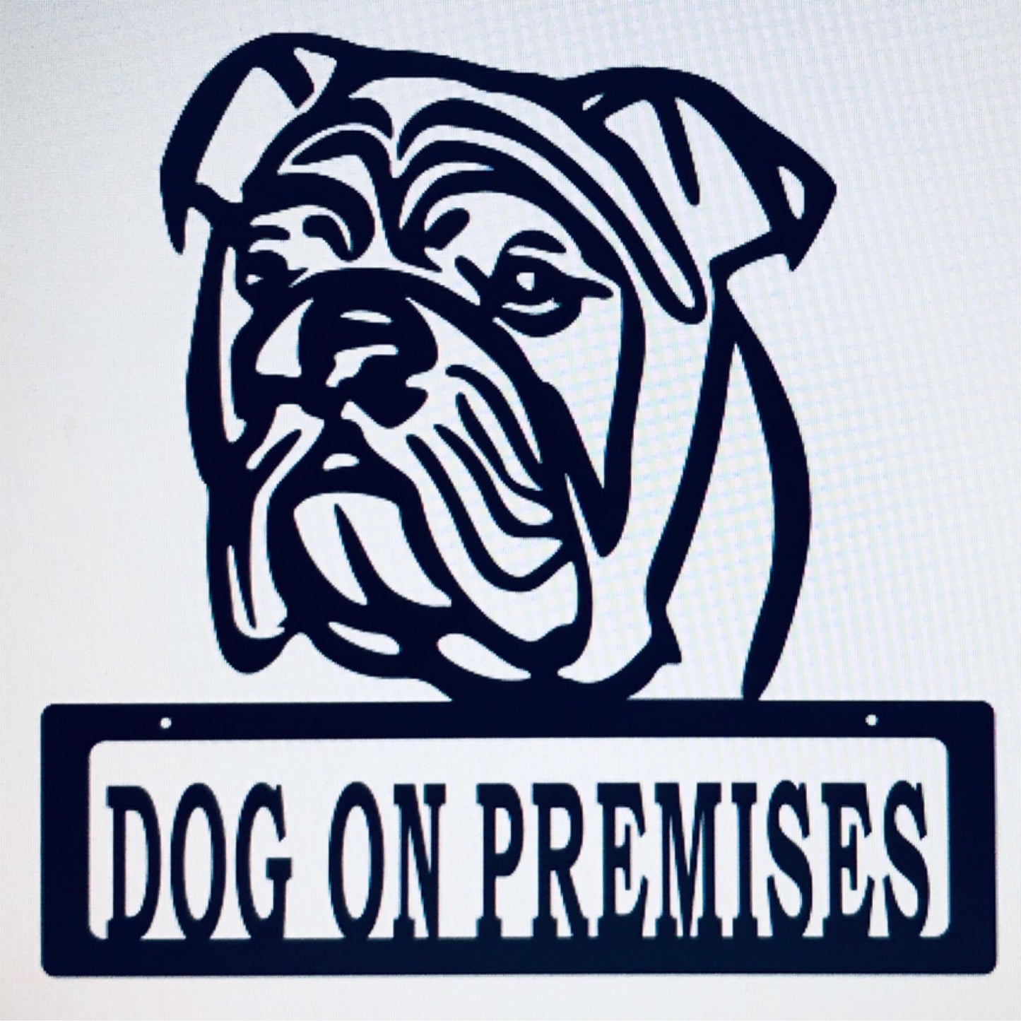 DOP English Bulldog