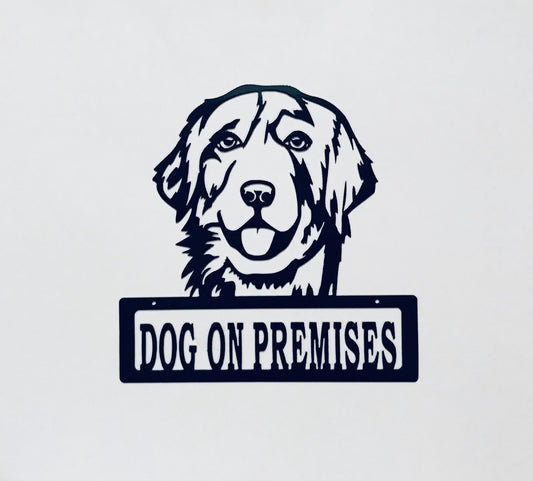 DOP Golden Retriever