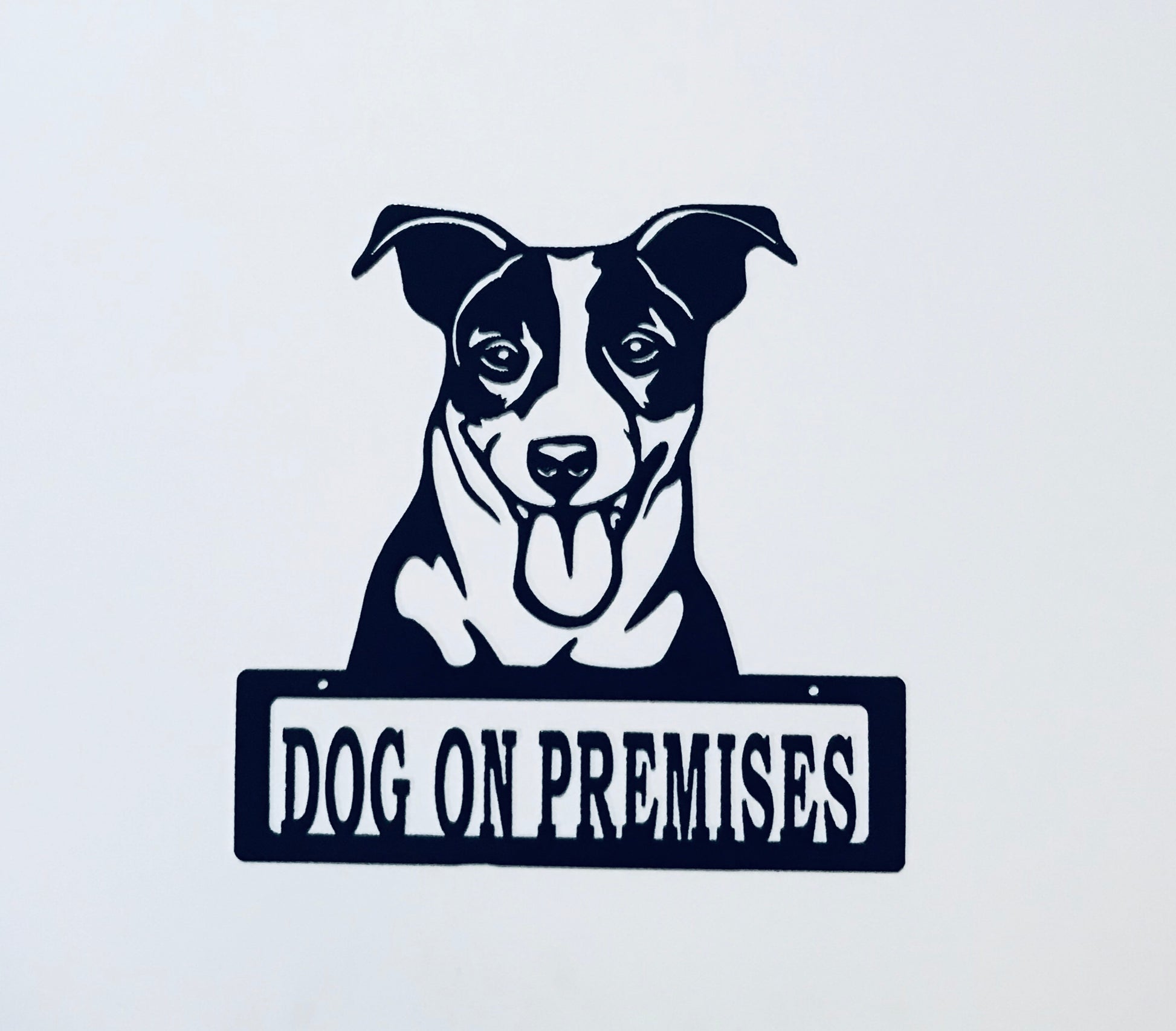DOP Jack Russell
