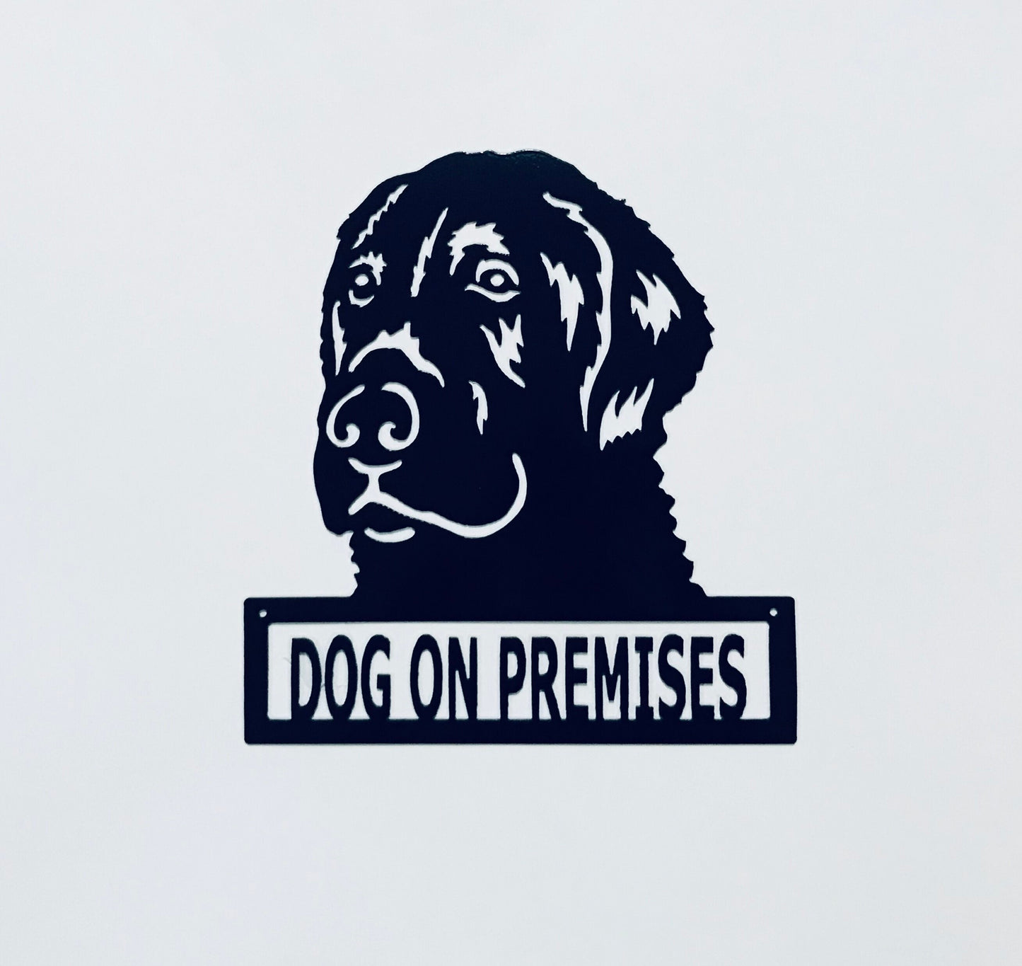 DOP Labrador Retriever
