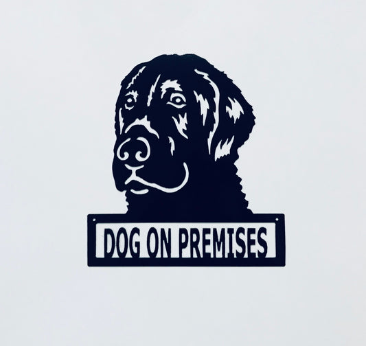 DOP Labrador Retriever