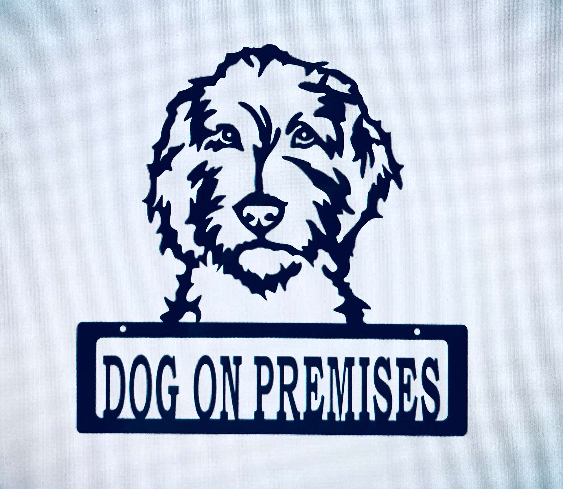 DOP Labradoodle