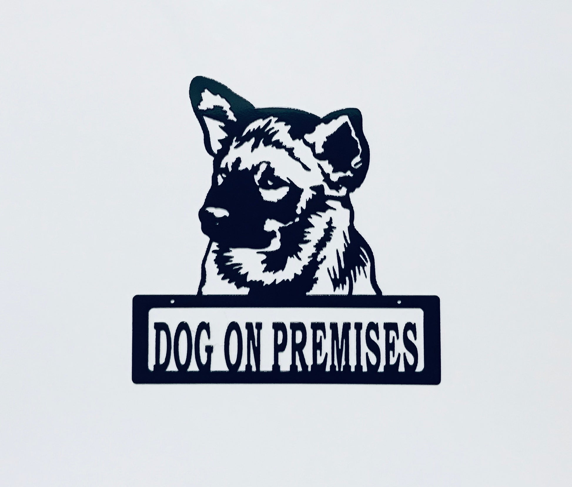DOP Norwegian Elkhound