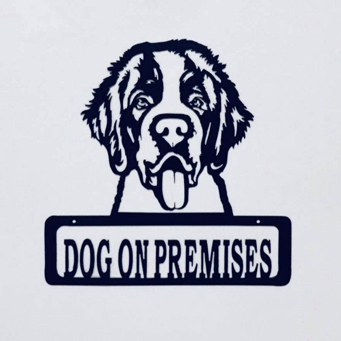 DOP Bernese Mountain Dog
