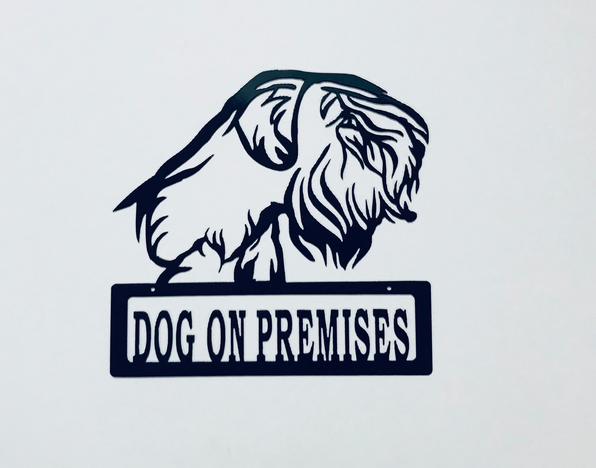 DOP Sealeyham Terrier