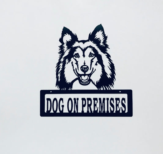 DOP Sheltie