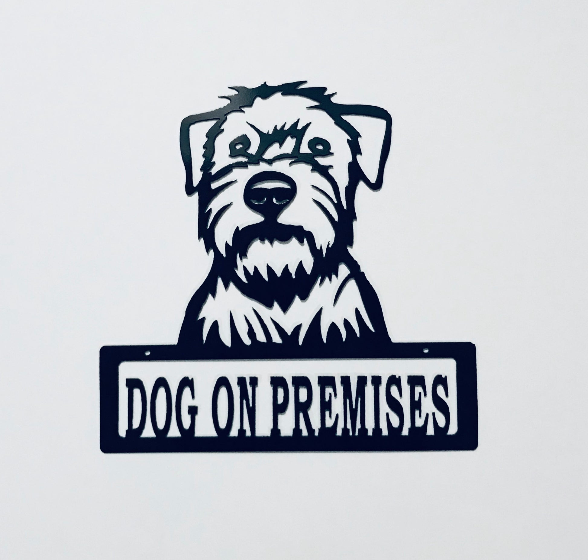 DOP Wheaten Terrier