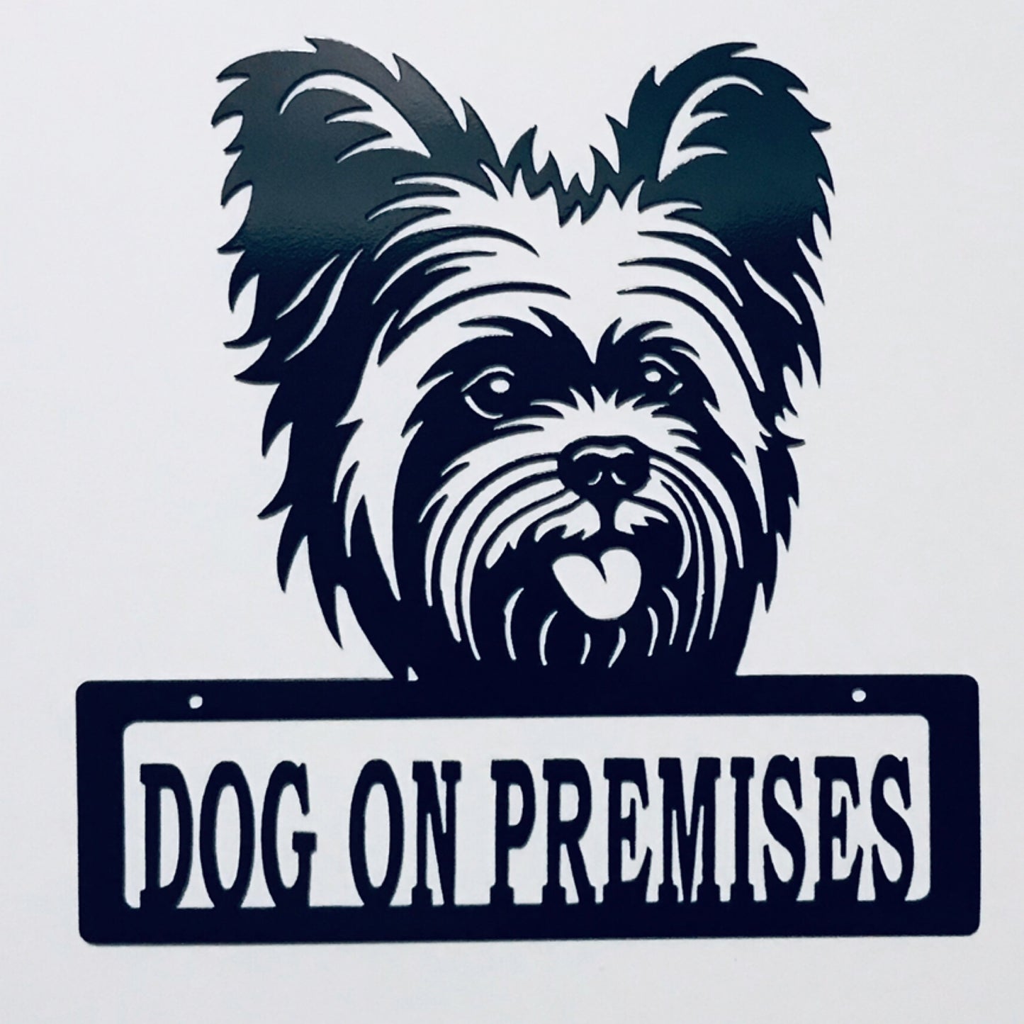 DOP Yorkie