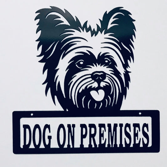 DOP Yorkie