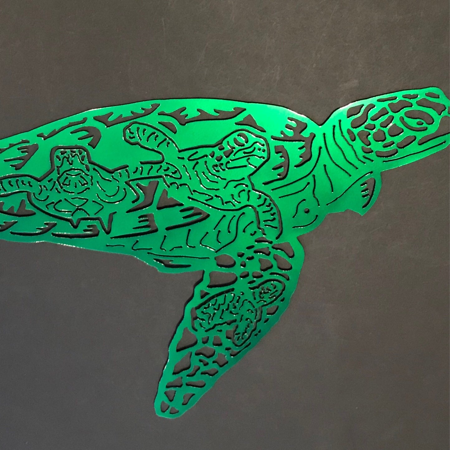 Turtle Scene