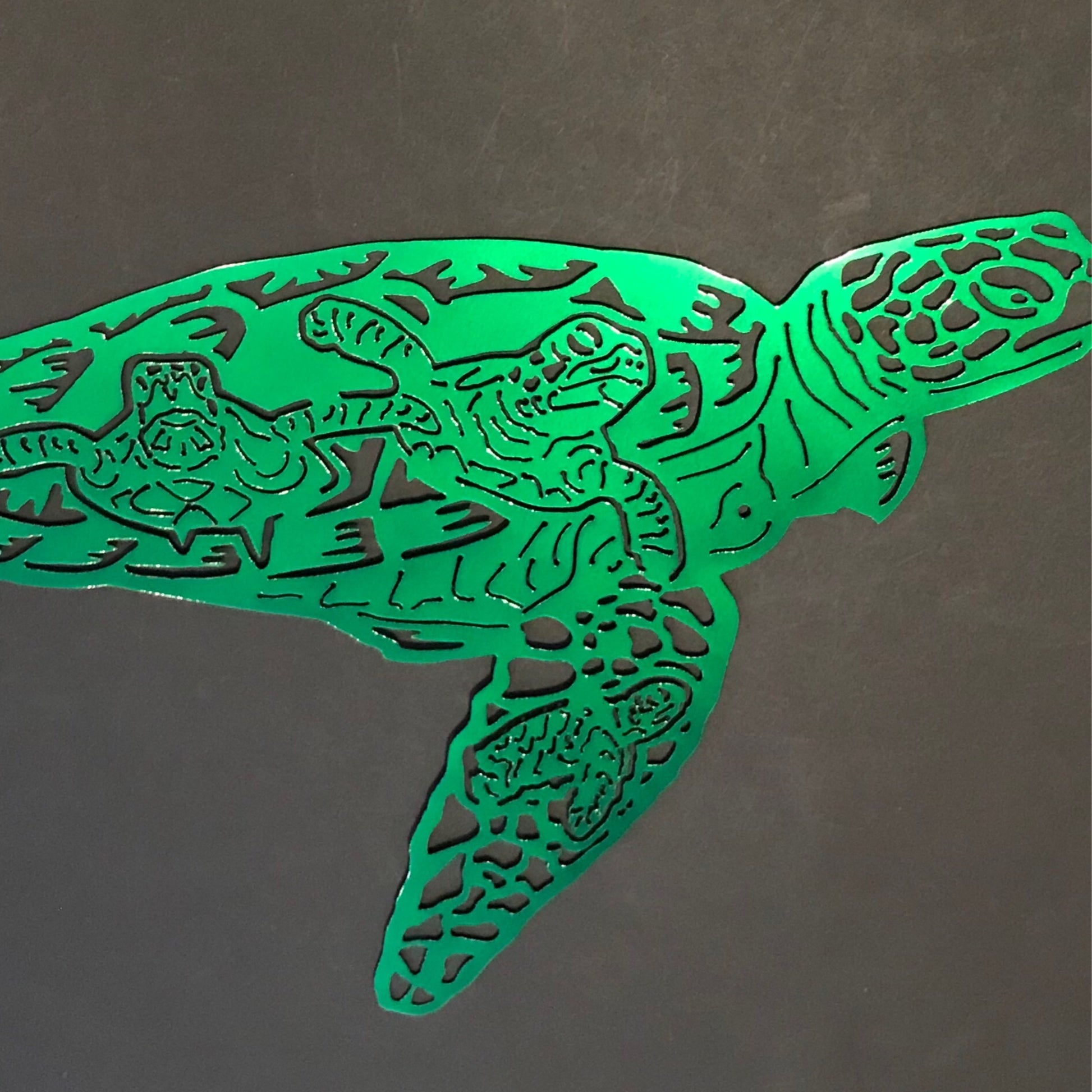 Turtle Scene