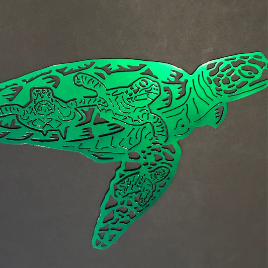 Turtle Scene