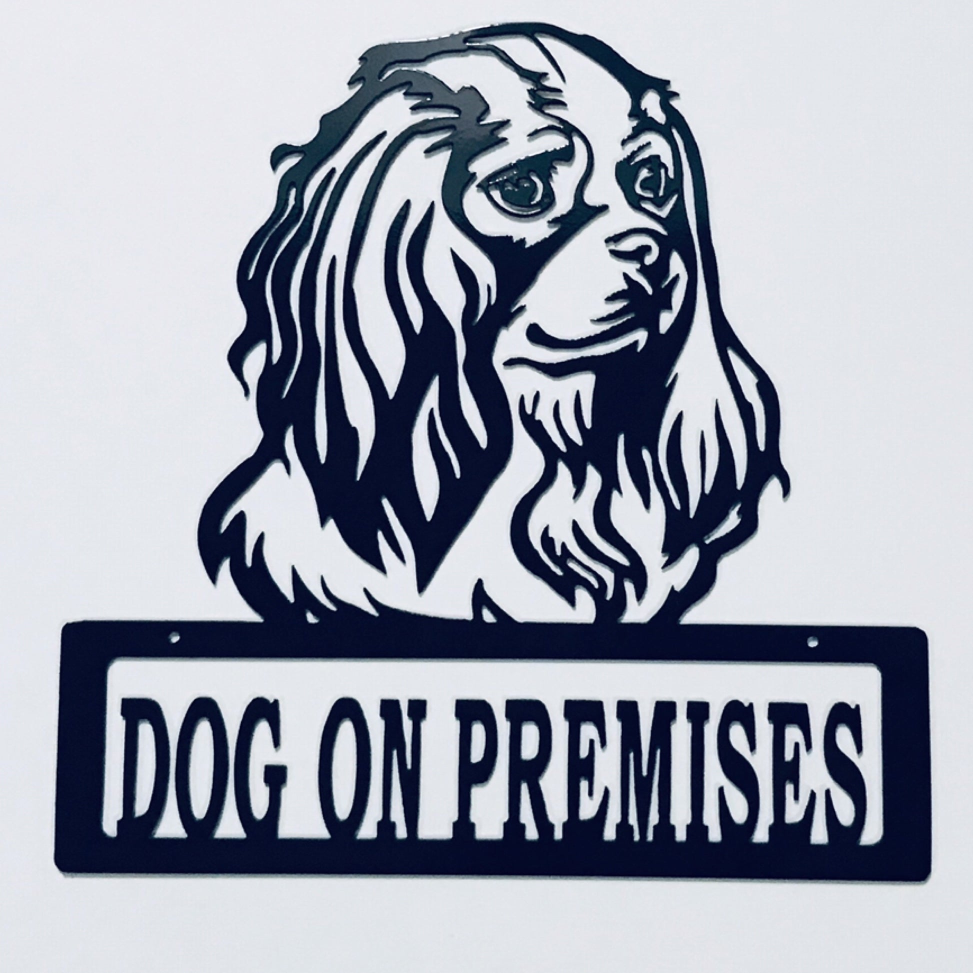 DOP Cocker Spaniel